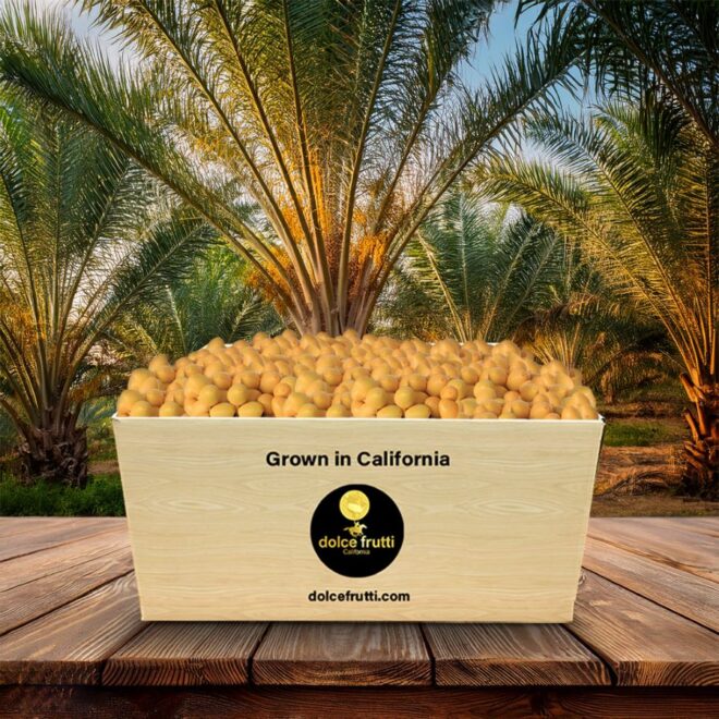 Discover the Delight of Dolce Frutti Yellow Barhi Dates