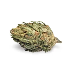 Unlocking the Power of Growth: Why Quality Marijuana Seeds Matter for Your Cannabis Journey