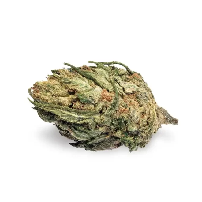 Unlocking the Power of Growth: Why Quality Marijuana Seeds Matter for Your Cannabis Journey