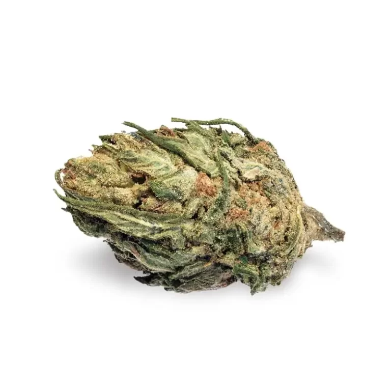 Unlocking the Power of Growth: Why Quality Marijuana Seeds Matter for Your Cannabis Journey