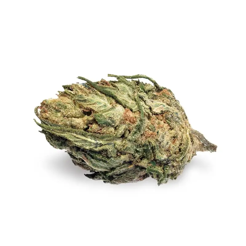 Marijuana seeds