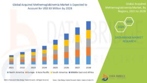 Exploring the Acquired Methemoglobinemia Market: Trends and Future Outlook