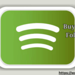 10 Best Sites to Buy Spotify Followers