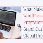 What Makes Indian WordPress Programmers Stand Out in Global Projects