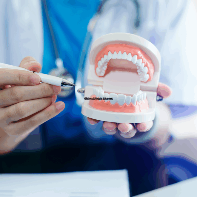 China Dental Market Report 2025–2033: Trends