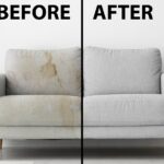 Discover Reliable Couch Cleaners San Diego for a Spotless Sofa