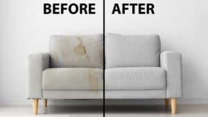 Discover Reliable Couch Cleaners San Diego for a Spotless Sofa