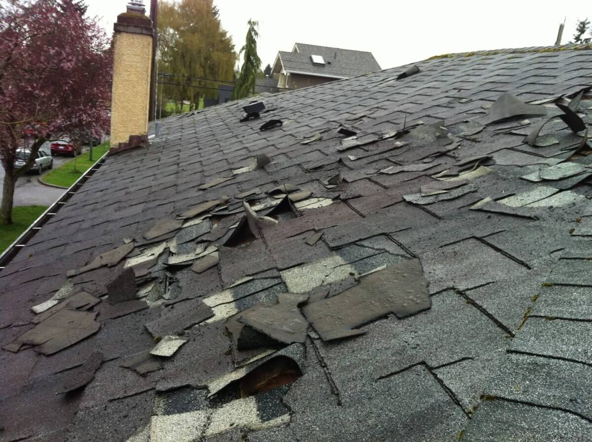 Roof Inspection