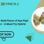 Discover the Bold Flavor of Aye Papi Weed Strain – A Must-Try Hybrid