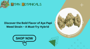 Discover the Bold Flavor of Aye Papi Weed Strain – A Must-Try Hybrid