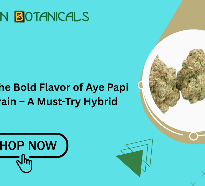 Discover the Bold Flavor of Aye Papi Weed Strain – A Must-Try Hybrid