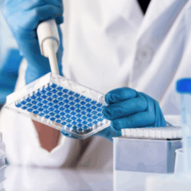 ELISA Method in Food Safety Testing: Detecting Allergens and Contaminants