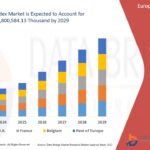 Sustainability and Innovation Drive Growth in the Europe Spandex Market