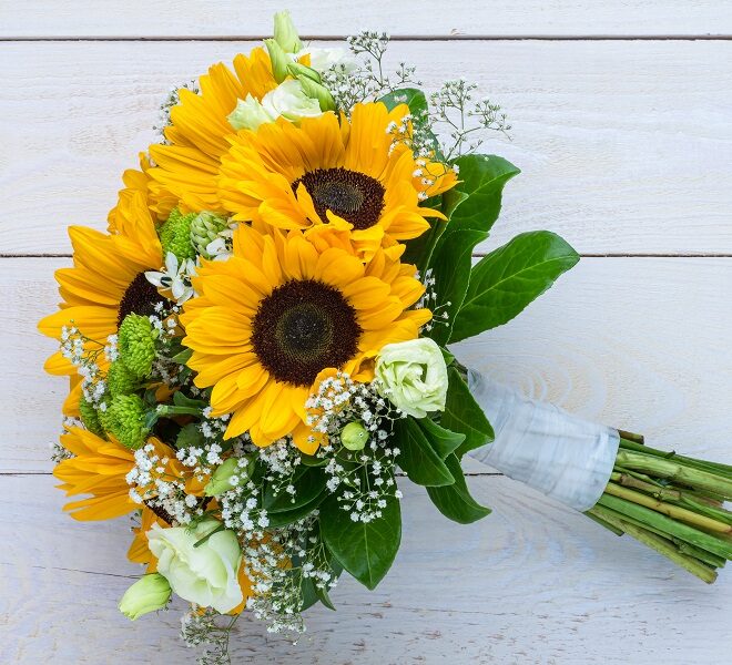 Best Summer Flowers to Brighten Your Home This June