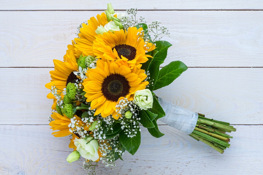 Best Summer Flowers
