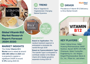 Vitamin B12 Market Size, Share, Trends, Demand, Growth and Competitive Analysis| MarkNtel