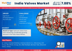 India Valves Market Size, Share, Trends, Demand, Growth and Competitive Analysis| MarkNtel