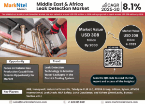 Middle East & Africa Leak Detection Market Size, Share, Trends, Demand, Growth and Competitive Analysis 2030