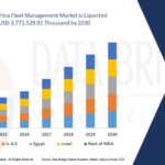 Growth Trends in the Middle East and Africa Fleet Management Market