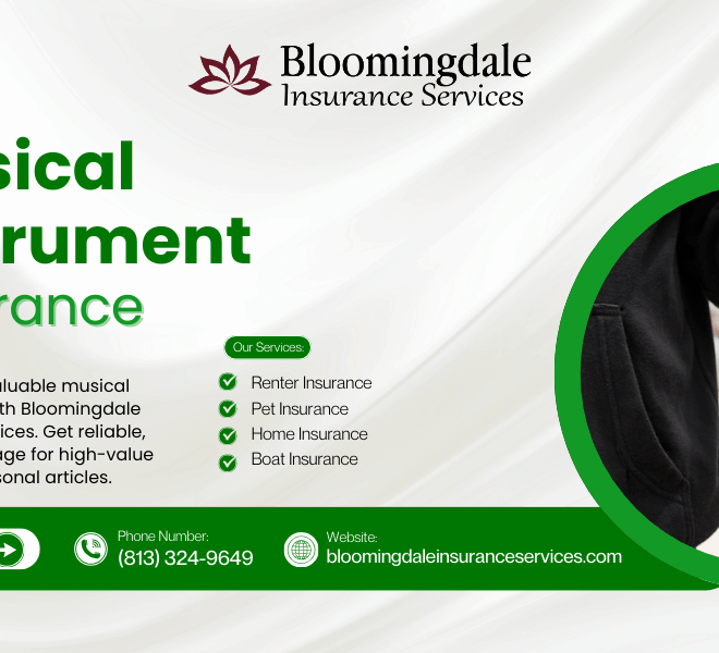 Musical Instrument Insurance and Protection by Bloomingdale Insurance Services