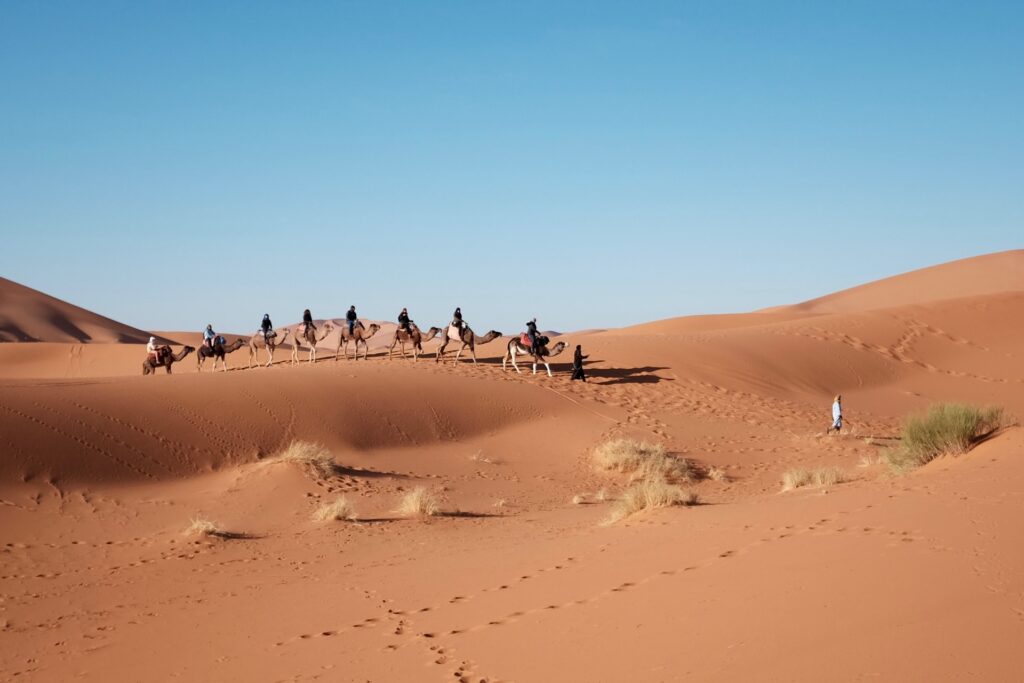 Epic Sunrise Adventures: Private Morning Desert Safari Dubai Guide