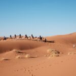 Epic Sunrise Adventures: Private Morning Desert Safari Dubai Guide