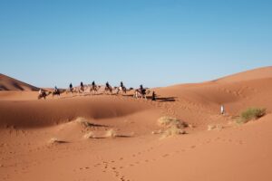 Epic Sunrise Adventures: Private Morning Desert Safari Dubai Guide
