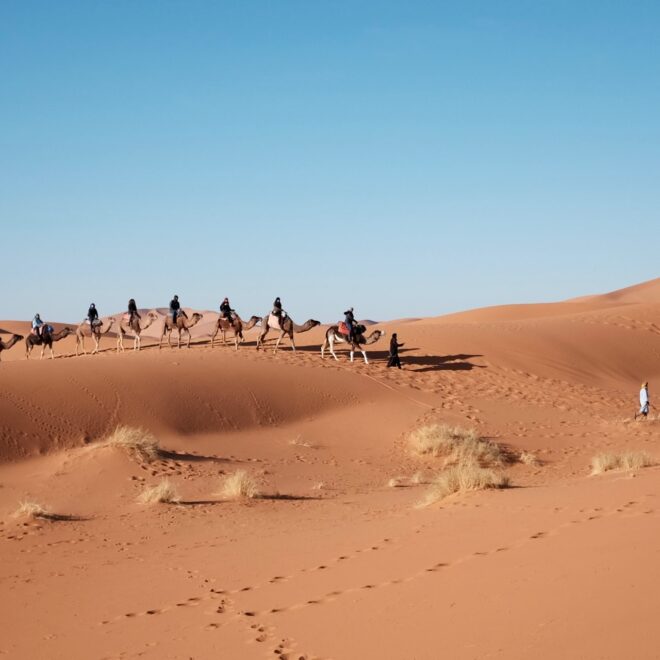 Epic Sunrise Adventures: Private Morning Desert Safari Dubai Guide