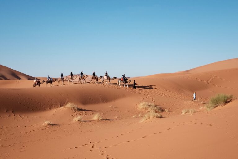 Epic Sunrise Adventures: Private Morning Desert Safari Dubai Guide