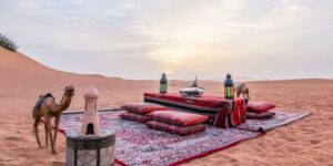 Desert Safari Adventures – Now Enjoy 20% Off All Tours!