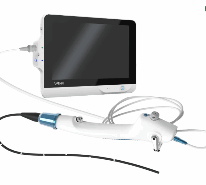Advancing Veterinary Care Through Modern Endoscopy Equipment