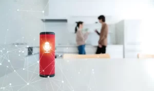 Smart Speakers