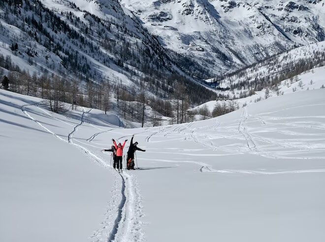 Essential Factors to Consider for Snow Leopard Trekking in Ladakh