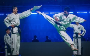 Mastering Martial Arts with Anro Sports
