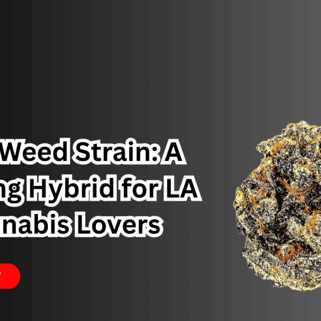 Toad Weed Strain: A Relaxing Hybrid for LA Cannabis Lovers