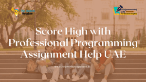 Score High with Professional Programming Assignment Help UAE