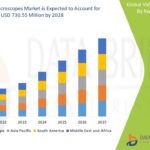 Advancing Precision: Global Growth of the Video Microscopes Market
