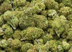 How to Ensure a Safe and Secure Weed Delivery in Fergus