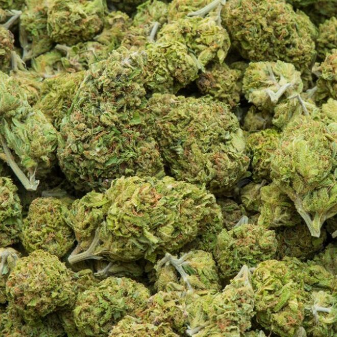 How to Ensure a Safe and Secure Weed Delivery in Fergus
