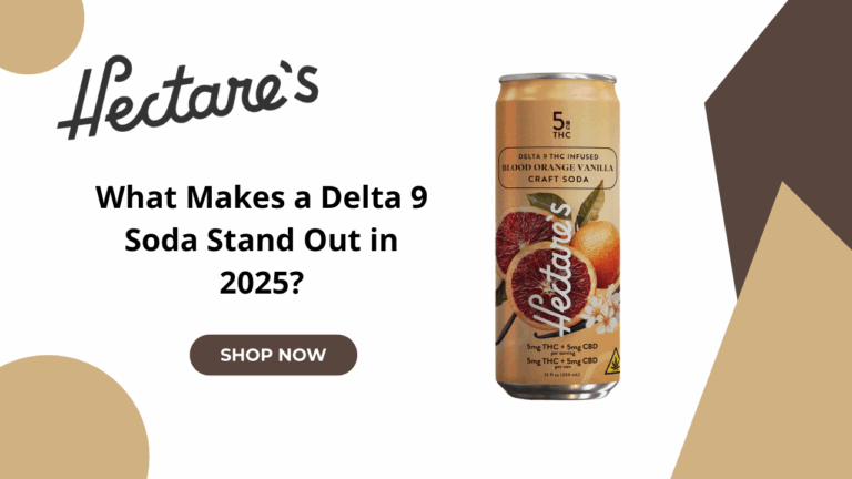 What Makes a Delta 9 Soda Stand Out in 2025?