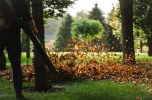 Why Fall Leaf Cleanup is Necessary for Your Lawn Beauty