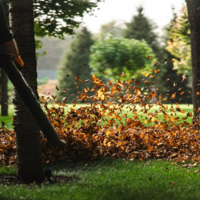Why Fall Leaf Cleanup is Necessary for Your Lawn Beauty