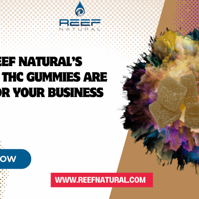 Why Reef Natural’s Wholesale THC Gummies Are Perfect for Your Business