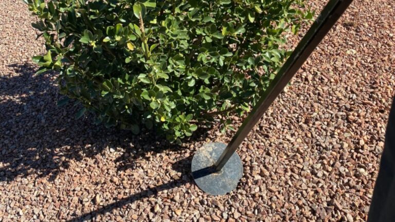 Best AFC Package for a Lush, Green Colorado lawn