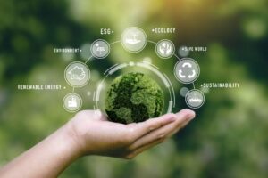 Why Ecological Certifications Matter More Than Ever for Businesses Today