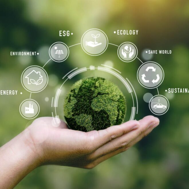 Why Ecological Certifications Matter More Than Ever for Businesses Today