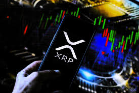 How I Earned 500 XRP in 30 Days Without Trading or Stressing About the Market