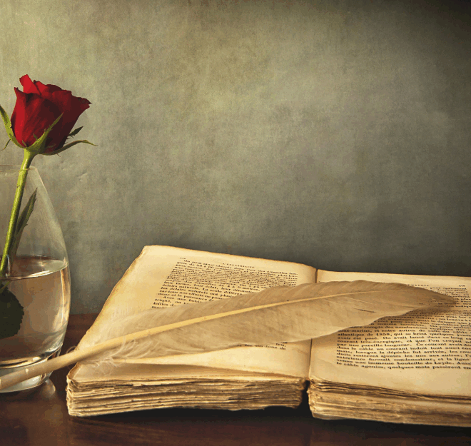 Book Writing & Marketing: Ultimate Author Support