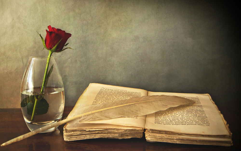 Book Writing Company