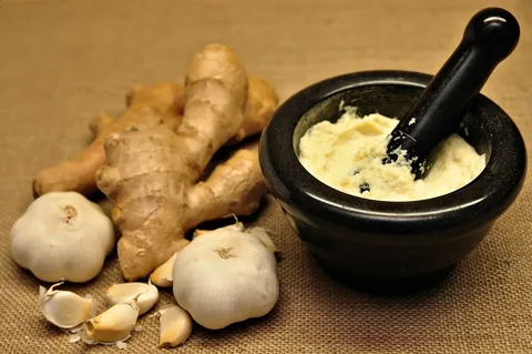 Bold, Pungent, Perfect – Why Garlic Paste Belongs in Your Kitchen